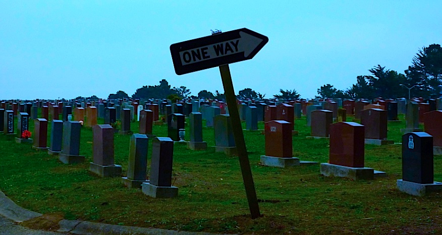 one-way sign in graveyard