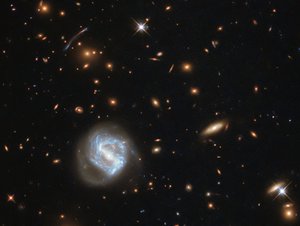 File - At first glance, this image is dominated by the vibrant glow of the swirling spiral to the lower left of the frame. However, this galaxy is far from the most interesting spectacle here — behind it sits a galaxy cluster.