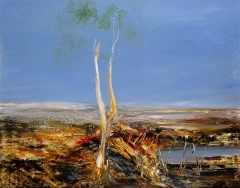 Landscape with Gumtree, 1964