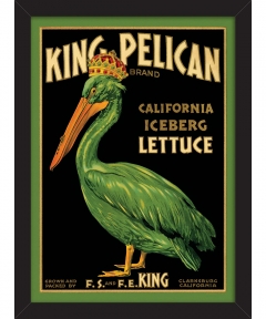 King Pelican