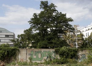 A newly discovered section of the Berlin Wall hides behind the bushes near the headquarters of Germany's Federal Intelligence Service in Berlin, Germany, Wednesday, Aug. 15, 2018.