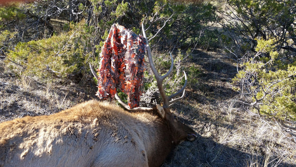 Just How Good Is Blaze Orange Camo For Hunting?