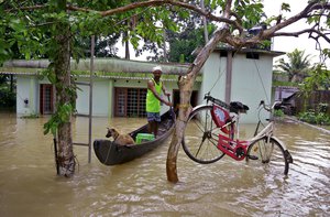 A bicycle is hung from a tree branch to avoid being washed away in flood waters as a man rows with his dog in a country boat at Kuttanad in Alappuzha in the southern state of Kerala, India, Monday, Aug. 20, 2018.