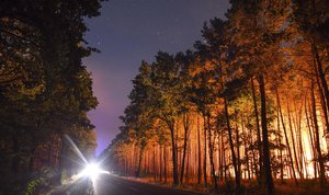 A forest is light by wildfires near the village Klausdorf, about 85 kilometers (53 miles) south of Berlin on Friday, Aug. 24, 2018.