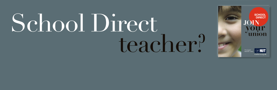 School Direct Teacher