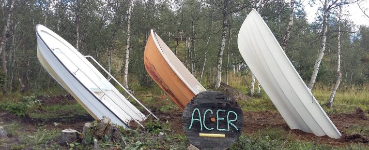 INSTALLASJON: Båter oppstilt som «Cadillac Ranch» er Arne ivar Bakks stille protest.