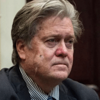 Steve Bannon