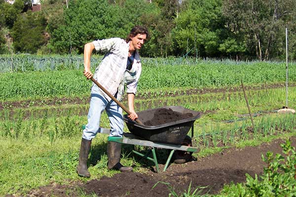 market-garden-volunteer