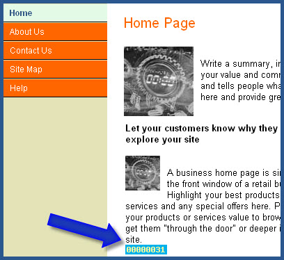 Microsoft Office Live - StatCounter