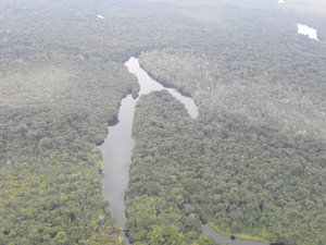 File -  The Cururu River, a tributary of the Tapajós river in the Amazon rainforest, Brazil.