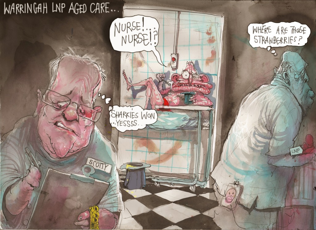 David Rowe's editorial cartoon for September 17.