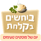 בוחשים בקלחת: פרוייקט כתיבה משותפת