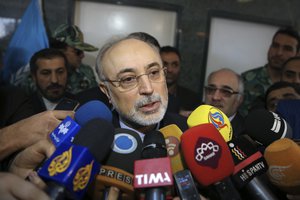 Chief of Iran's Atomic Energy Organization Ali Akbar Salehi speaks with media after his meeting