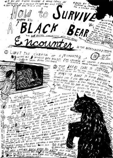 How to Survive a Black Bear Encounter