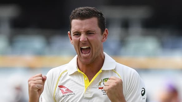 Unprecedented: Hazlewood, Marsh named joint Australian vice-captains