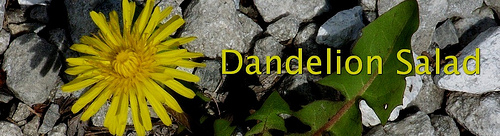New Theme on Dandelion Salad
