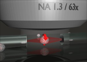 File - The Optical Cell Rotator is a fiber based laser trap that allows to hold and precisely orient living cells for tomographic microscopy.