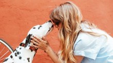 A white dog with black spots licking a blonde woman's face