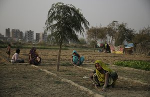 In this March 7, 2017 file photo, Indian women farmers work in their farm on the eve of International Women's Day on the outskirts of New Delhi, India.