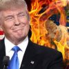 Trump world on fire