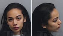 'Love & Hip Hop' Star Erica Mena and Boyfriend Arrested Near Atlanta