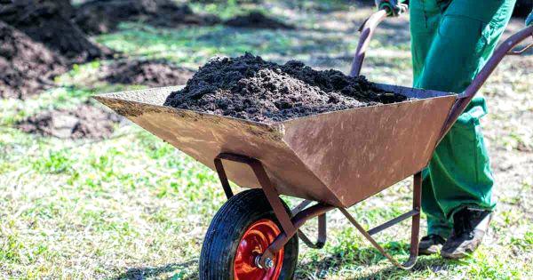 garden wheelbarrow small wheelbarrow planter plans