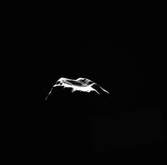 File - On its way to a 2014 rendezvous with comet 67P/Churyumov-Gerasimenko, the European Space Agency's Rosetta spacecraft, with NASA instruments aboard, flew past asteroid Lutetia on Saturday, July 10.