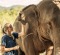 Get up close to Asia'a giants at Anantara Golden Triangle Elephant Camp and Resort.
