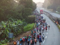 Migration Lawyers Recruit Caravan Migrants to Sue Trump