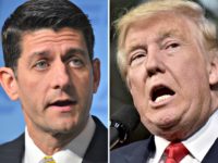 Donald Trump Swats Paul Ryan for Challenging Him on Immigration