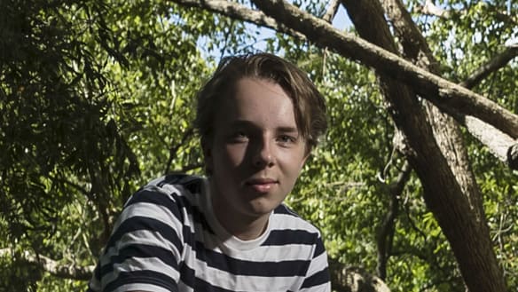 It's a Wildlife for Ed Oxenbould, the young actor who flunked drama