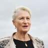 After a fortnight of counting, Kerryn Phelps to be declared Wentworth victor