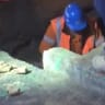 Footage shows Sydney light rail project worker joking, tossing human bones