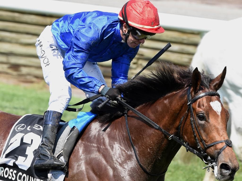 Kerrin McEvoy  (red cap) wins on Cross Counter in the 2018 The Lexus Melbourne cup.  The Melbourne cup day races, Flemington racetrack.  Picture: Nicole Garmston