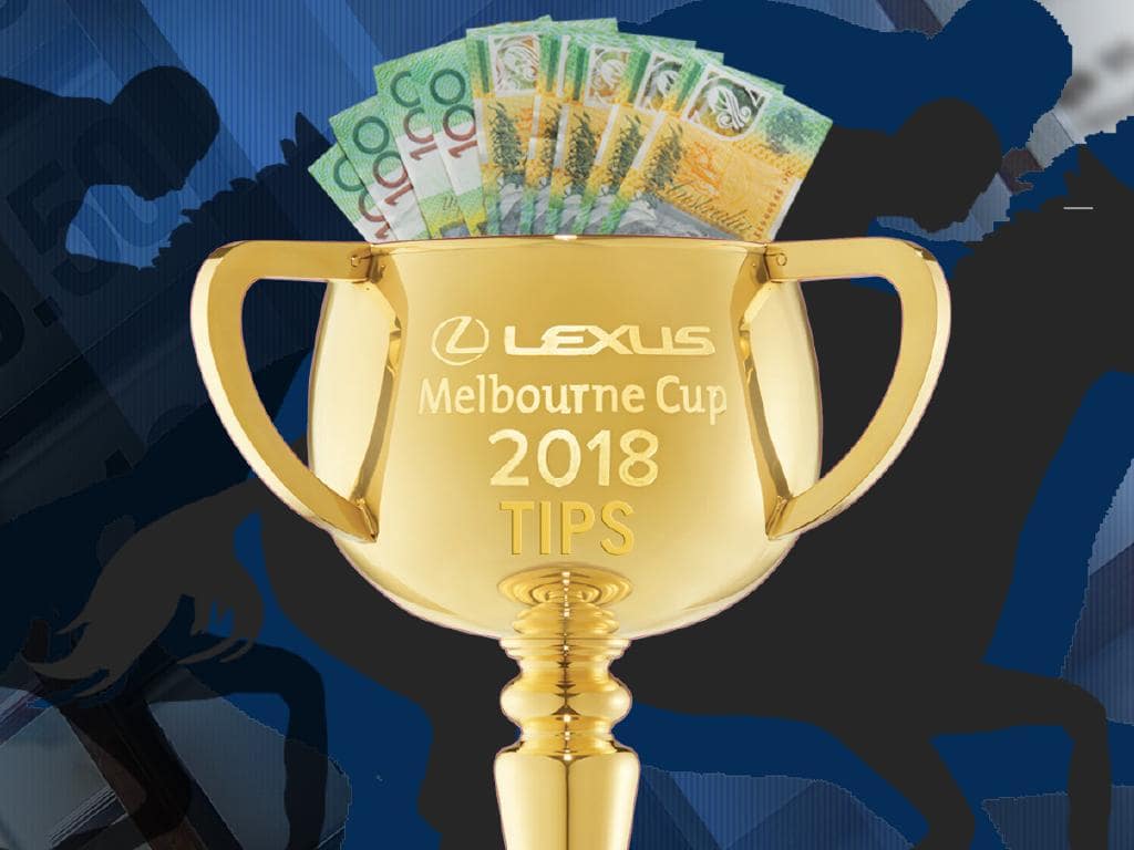 Expert tips art work for Melbourne Cup 2018