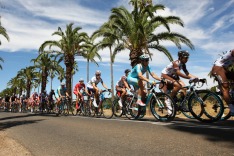 Santos Tour Down Under - Stage 1 - Nuriootpa to Angaston. Seppeltsfield, Barossa
South Australia
Images supplied by ...