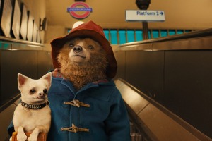 PADDINGTON BEAR: The British family movie makes it perfectly clear that its subject is also an illegal immigrant. 