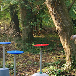 Determined Squirrels Figure Out How to Navigate a Difficult Obstacle Course After Several Failed Attempts