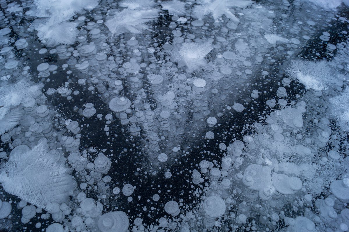 ice bubbles on a frozen lake