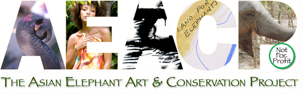 Asian Elephant Art & Conservation Project