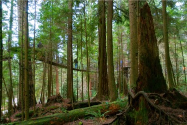 CAPILANO TREETOP ADVENTURE, CANADA
This forest and gorge destination just outside Vancouver is most famous for its giant ...