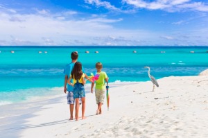 Image: Heron Island, Shutterstock