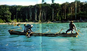 In this undated photo released by the Anthropological Survey of India, Sentinelese tribe men row their canoe in Indias Andaman and Nicobar archipelago.