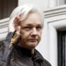 'Mention of the cat is degrading': Assange sues over Ecuador terms