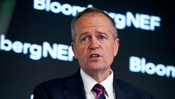 'Without balance' and 'sensible': Labor's massive energy plan divides critics