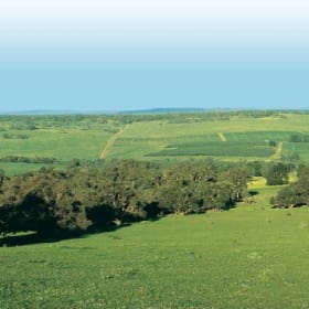 The estate selling massive blocks on Perth’s outskirts