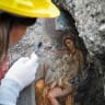 Pompeii erotica: Sensual fresco discovered in ancient bedroom