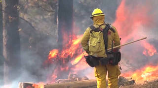 Wildfires noam chomsky camp fire