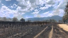 A paddock is blackened by fire in central Queensland. Smoke can be seen in the distant mountains.