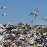 Glorious rubbish, have we been wasting your energy all along?